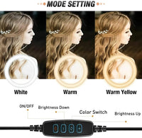 LED Ring Light 26cm Metal Tripod Stand image 2 PanguDeals Pakistan